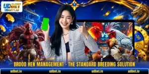 Brood Hen Management - The Standard Breeding Solution