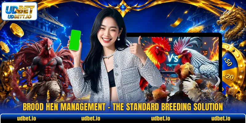 Brood Hen Management - The Standard Breeding Solution