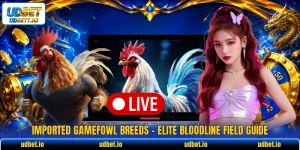 Imported Gamefowl Breeds - Elite Bloodline Field Guide