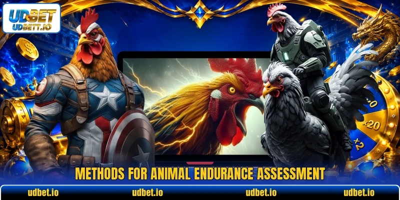 Methods for animal endurance assessment