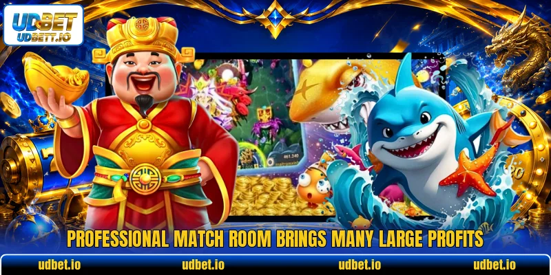 Professional match room brings many large profits