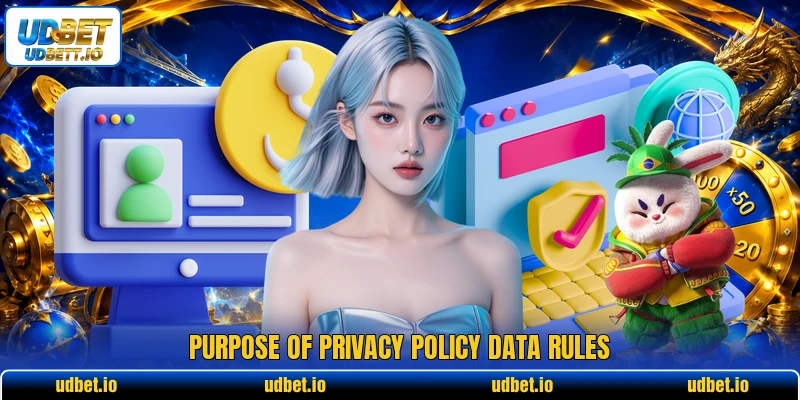 Purpose of privacy policy data rules