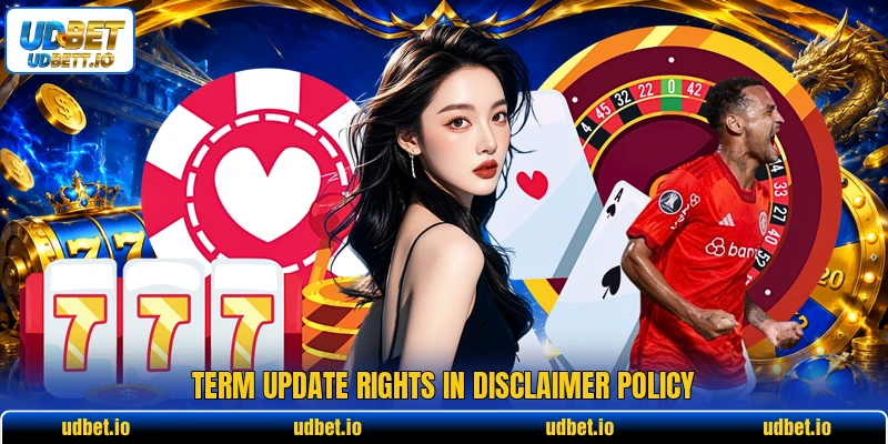 Term update rights in disclaimer policy