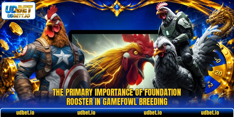 The primary importance of foundation rooster in gamefowl breeding